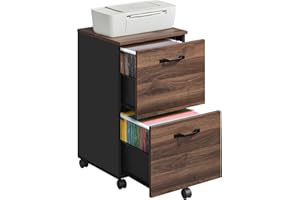 VASAGLE 2-Drawer Filing Cabinet, Mobile File Cabinet for Home Office, Printer Stand, A4, Letter-Size Files, Hanging File Folders, Natural Walnut and Ink Black OFC040K01