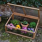 Woodside Outdoor Wooden Plant Flower Vegetable Cold Frame Growhouse