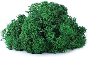 IHKFILAN Islandmoos Zum Basteln Moos Pflanzen Deko Mooswand Lebend Konserviertes Haltbares Natur Moos Dekomoos für Die Zu Ostern,Modellbau (Smaragdgrün, 100g)