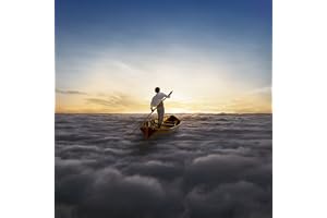 The Endless River