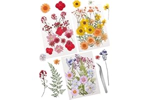 Cinvo 54 echte getrocknete Blumen und Blätter, natürlich, trockene Blütenblätter, grün, mit Klammern für Kerzen, Harz, Schmuck, Seife, Anhänger, Telefonkasten, Handwerk, Blumen, Dekoration, DIY