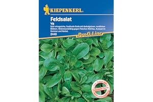 Kiepenkerl 2440 Feldsalat Vit (Feldsalatsamen)