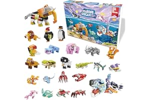 WUHUHAI Advent Calendar with Building Blocks for Kids, 24 Days Christmas Countdown Calendars 12 In 1 Building Blocks Stem Toys for Boys Girls Toddler Xmas Stocking Stuffers Holiday Gifts (HY1004)