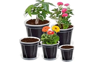 YALIOURS Durchsichtige Pflanzentöpfe mit Abflussloch,16/15/14/12/10cm Verstärkte klare Pflanztöpfe mit Untersetzer,Vielfalt 10er Pack Transparenter Kunststoff-Pflanztopf für Sämlingspflanzer,Blume