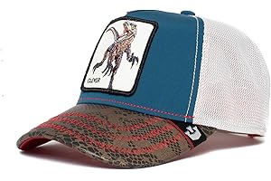 Goorin Bros. Gorra infantil Little Raptor Clever Multicolor Teal