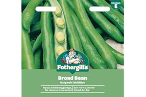 MR FOTHERGILLS Fothergill's Broad Bean Bunyards Exhibition, Vegetable Seeds, 45 Seeds, Sow: Feb-May, Oct-Nov, Green