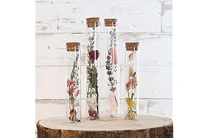 comforder Flores Secas Naturales en jarrones de Cristal, Set de 4 floreros de Cristal Modernos y Flores Preservadas (Primavera)