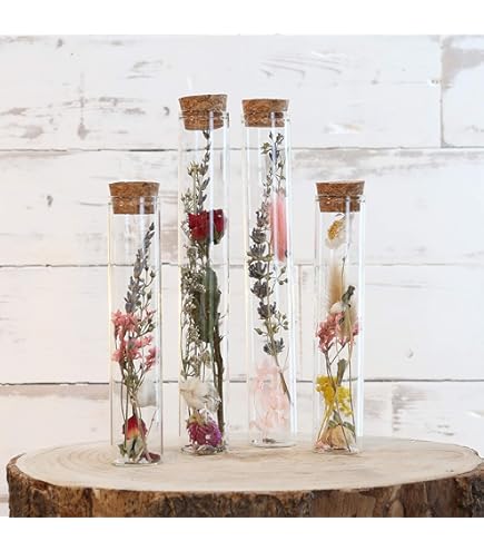 Vaso Portafortuna Con Dente Di Leone In Vetro E Luce LED - Regalo Decorativo Con Significato