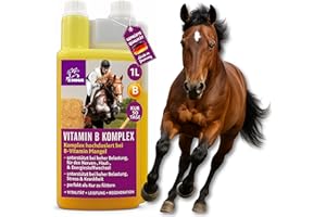 EMMA Vitamina B Complex Horse 1L Liquid I Vitamina B altamente dosata per cavalli e pony con vitamina B1 B2 B6 B12 vitamine I Il complesso di vitamine B supporta la muscolatura il metabolismo nervoso