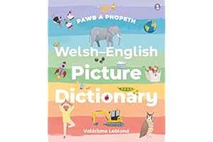 Pawb a Phopeth - Welsh / English Picture Dictionary | Welsh words | Stunning illustrations | Pronunciation guide | Welsh-English and English-Welsh word list | Dictionary | Over 500 words | Cymraeg