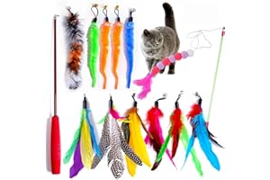 Tacitmeet Lot Jouet Chat 12 PCS, Rétractable Canne à Peche Chat, 10 Jouet à Plumes pour Chats de Remplacement avec Cloche, Jeux Chat Appartement, Interactifs pour l'Intérieur Chats et Chatons