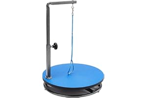 Master Equipment Small Pet Grooming Table, Blue