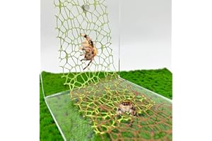 Okueejur 6 PCS Jumping Spider Habitat Accessories-Jumping Spider Webbed Moss Ribbon with Magnets for Spoods Jumping Spider Enclosure Spoods Climbing (3pcs Green + 3pcs Brown)