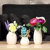 Belle Vous Pack de 3 Jarrones Decorativos Modernos - Estilo Rústico - Cerámica Blanca - Jarrones para Flores, Hierbas de las 