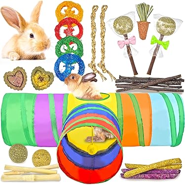 GIONAR 18PCS Jouets à Mâcher Pour Lapin Nain Jouets Carotte Pour Petits
