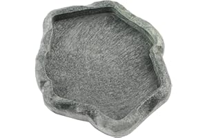 Reptile Food Water Dish Langlebige Reptile Rock Feeder Bowl Schildkröte Eidechse Harz Water Bowl Reptile Terrarium Food Dish(S-Grün)