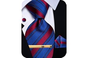 YourTies Silk Ties for Men Plaid Paisley Floral Necktie Pocket Square Cufflinks Tie Clip Set Wedding Party Business Formal