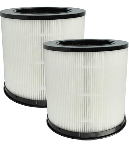 Vhbw Filtro HEPA 13 Per Purificatore Baren B-747 E B-757 | Ricambio, 21x10x41 Cm, Anti Allergeni, Polveri Sottili