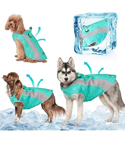 Gilet Refrigerante Vivi Bear Per Cani - Pettorina Rinfrescante Per Estate E Attività Esterna - Foto 10