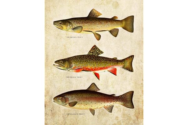 Vintage öring flugfiske konst affisch tryck kanvas målning vägg bild för heminredning (art-1, 60 x 90 cm (oramad))