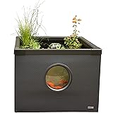 Hozelock Outdoor Aquarium - Terrassenteich 100 x 100 x 70 cm mit Flechtwänden inkl. Fenster, Schwarz