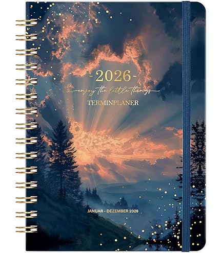 Uli Stein Kalender 2026 Timer Für Zwei - Wandkalender 240x460mm Mit Postkarten