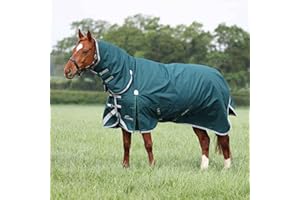 Shires Highlander Original 300 Combo Turnout Rug - Green