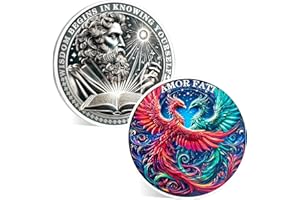 ACGZQY Pièce Phoenix Memento Mori – Pièce de monnaie Stoic EDC Challenge pour la pratique quotidienne – Médaillons Amor FATI – Jeton de rappel inspirant pour stoïcisme