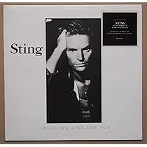 Nothing Like the Sun: Amazon.it: CD e Vinili}