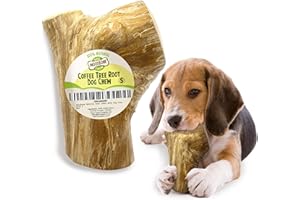 Woodbone Coffee Tree Root Dog Chew for Small Dogs - Natural Wood Dental Chewing Toy - Size S