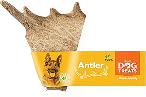 GIGIL TREAT YOUR PET LIKE A KING 100% Naturel Bois de Daim pour Chien - Jouet à Mordre Os Corne a Mâcher - Jouet Chien - Corne de Cerf pour Chien - Taille XL