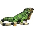 Michael Carr Designs BFG Supply Iguana S Reptile Collection Outdoor Lizard Figurine for gardens, patios and lawns (80059), Green, Medium