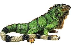 BFG Supply Michael Carr Designs Iguana S Reptile Collection Outdoor Lézard Figurine pour Jardin, terrasse et pelouse (80059), Vert, Taille M