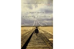 Chasing Fireflies: A Novel of Discovery: A novel of healing and hope