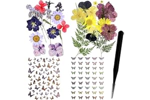AYWFEY 24 pezzi naturali veri fiori secchi pressati foglie set e adesivi farfalla decalcomania con pinzette per scrapbook resina gioielli artigianato fai da te candele e nail art decorazioni floreali
