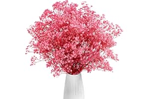 Gipizi Rosa Gypsophila Seca, 100% Natural Gypsophila Flores Secas Más de 3000 Capullos de Flores para Veilweed para Boda, Decoración del Hogar, Bricolaje y Fiesta (Rosa)