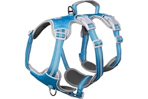 Huntboo Imbracature per cani antifuga, Imbracatura per fuggitivi, Imbracatura riflettente con maniglia imbottita, Traspirante, Gilet regolabile per cani di grande taglia per passeggiate (Blu, XL)