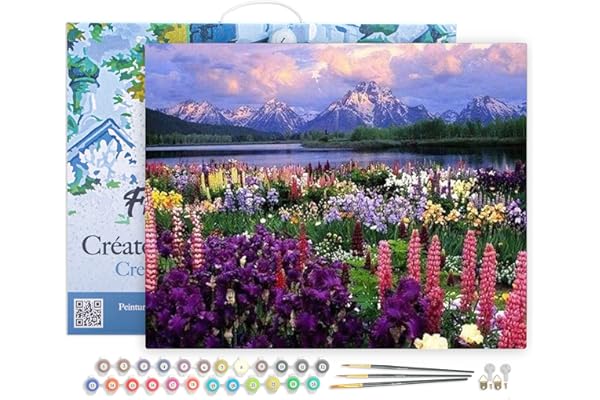 Figured'Art Pintar por Numeros Adultos con marco Flores 2 - Manualidades pintura acrilica Kit Cuadro DIY completo - 40x50cm con bastidor montado