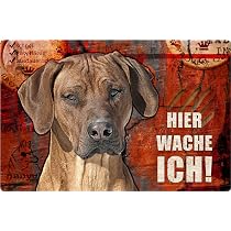 Nanyuk Rhodesian Ridgeback Warnschild – Aluminium, 30,5 X 20 Cm, Für Gartenzaun Oder Haustür