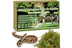 Halatool 260g Premium Grünes Moss，Natural Terrarium Moss Brick für Reptiles (Leopardgecko, Schlangen, Hamster, Schildkröten, Frösche, Echsen, Salamander), Safe for Plants & Animals.
