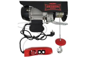 Dragon Winch - Polipasto eléctrico 200kg 230V Cabrestante Eléctrico con motor de cobre de 450W y control remoto Torno de cable eléctrico con una capacidad de 100kg–200kg, altura de elevación 12m