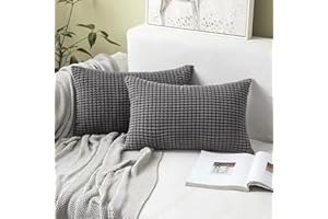 MIULEE poszewka na poduszkę, kwadratowa solidna poszewka na poduszkę na sofę, krzesło, kanapę, do sypialni, dekoracyjna poszewka, pasiasta tkanina sztruksowa, 30 x 50 cm, 2 szt., szara