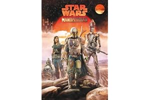Grupo Erik Poster Star Wars The Mandalorian Crew, 61x91,5 cm