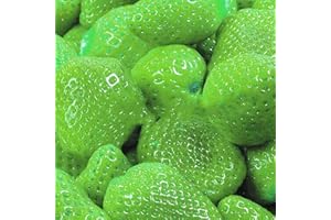Benoon Semi Di Fragola, 1 Sacchetto Di Semi Di Fragola Prolifici Semi Di Frutta Naturali A Colori Misti Per Cortile verde Semi di fragola