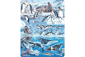 Larsen FH48 Il Freddo e Bellissimo Antartide, Puzzle Incorniciato con 66 Pezzi