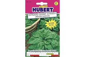 GRAINES HUBERT SEMENCES & ENGRAIS MAIROL Graines d'Epinard géant d'hiver - 30 grammes