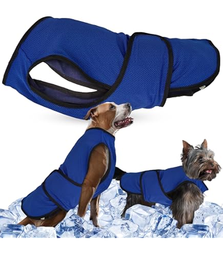 Amazon Super Warm Dog Coats Small Dog Winter Jacket, Waterproof