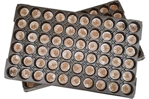 Elixir Gardens Jiffy 7 Pellet Trays | Various Quantities Available | Propagation/Germination Pellets | 41mm Pellets x 180 in Trays