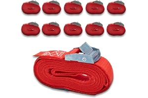 Uppsättning av 10 spännremmar med bälteklämma, ett stycke, DoZurr 250, kan belastas upp till 250 kg, 25 mm bred x 2,5 m lång, röd, för takräcke och remmar