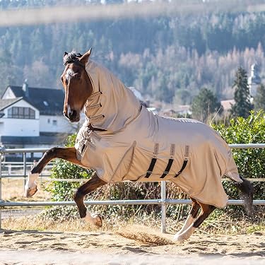 874782_5